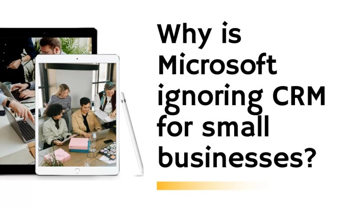Why is Microsoft ignoring CRM for small businesses?